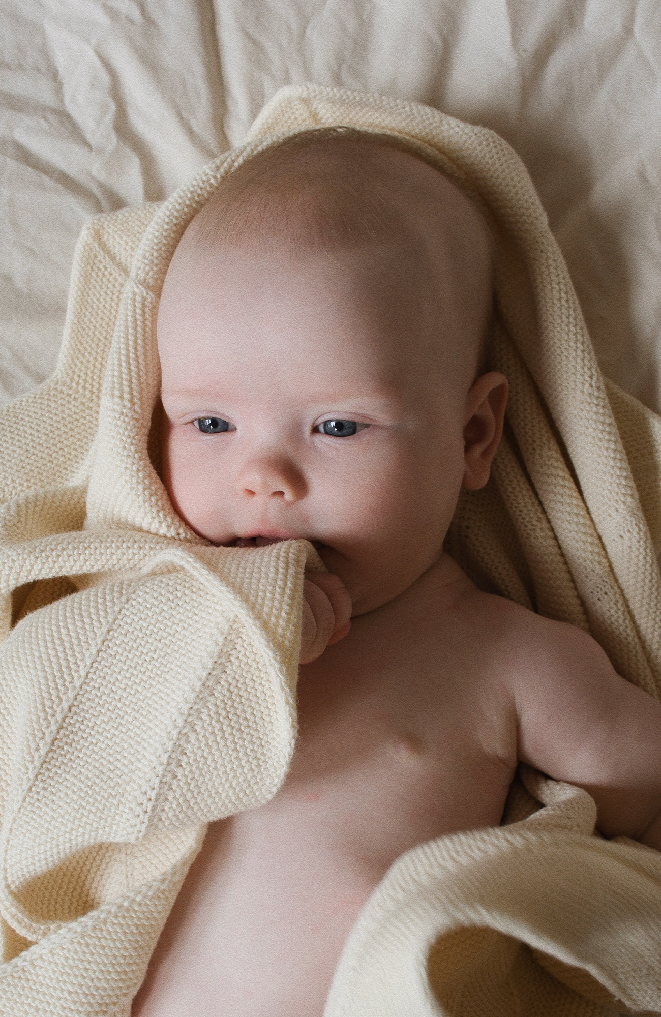 Chevron Knit Blanket - Off White